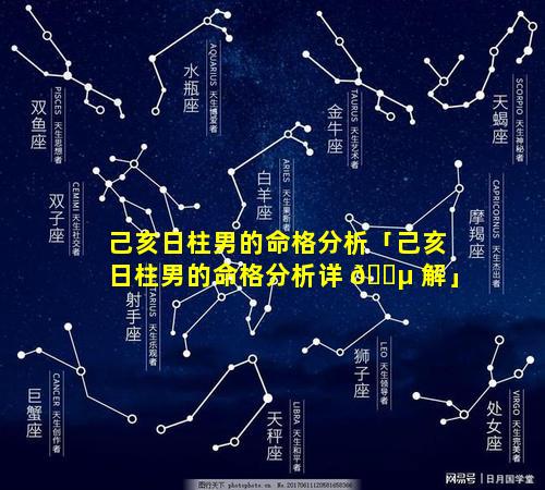 己亥日柱男的命格分析「己亥日柱男的命格分析详 🐵 解」